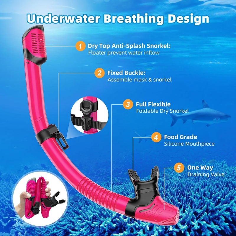 Honlanor Snorkel Set Adults Snorkeling Gear Anti-Leak and Anti-Fog Tempered Glass Lens Panoramic View Swim Mask Dry Top Snorkel Kit for Snorkeling Scuba Diving Swimming Travel with Carry Bag - Image 5